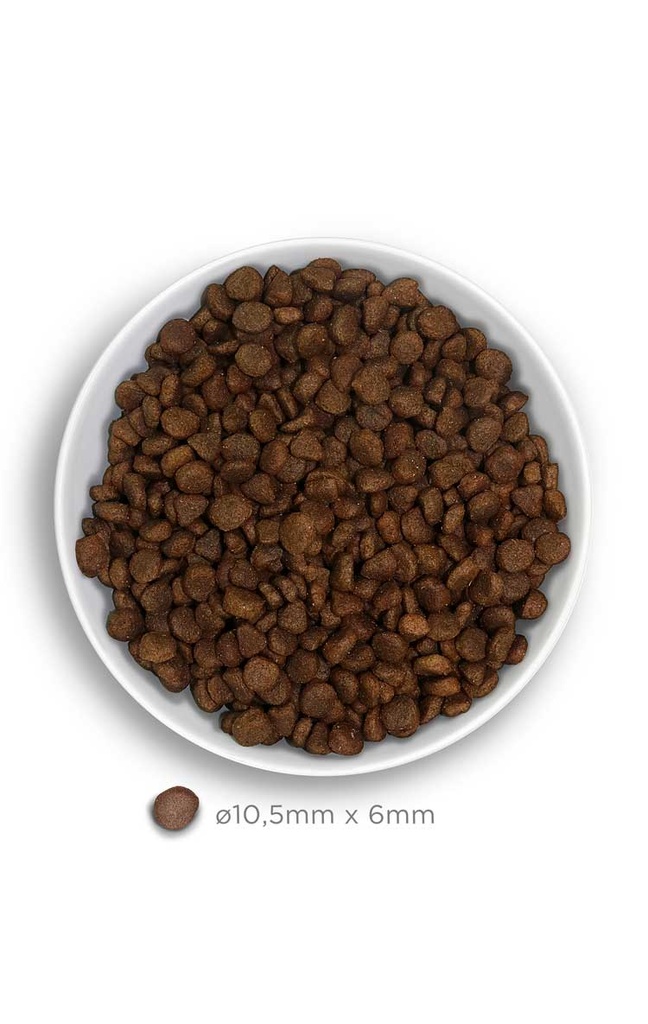 Amanova Adult kani & kurpitsa aikuisille kissoille viljaton 1,5 kg