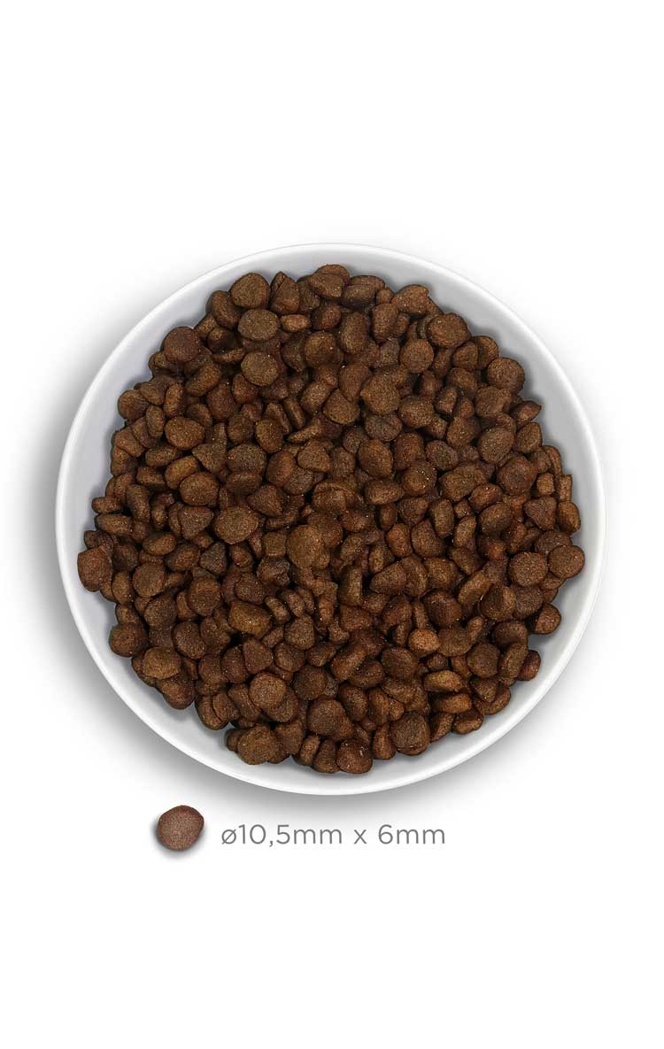 Amanova cat adult Kani & kurpitsa viljaton 1,5 kg