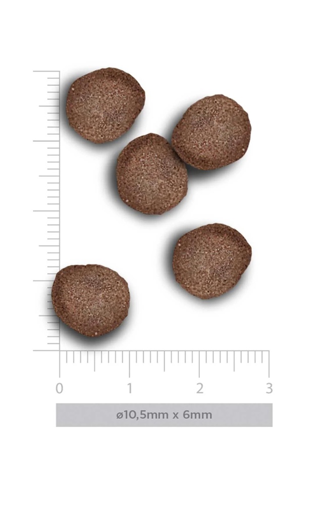 Amanova Adult lammas & kurpitsa aikuisille kissoille viljaton 1,5 kg