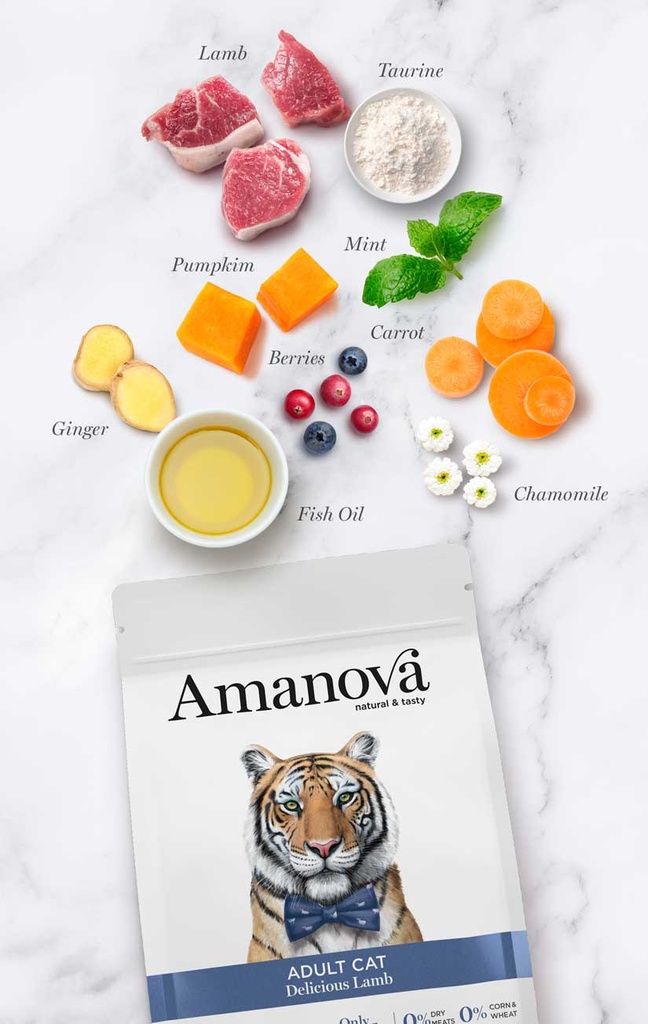 Amanova Adult lammas & kurpitsa aikuisille kissoille viljaton 1,5 kg