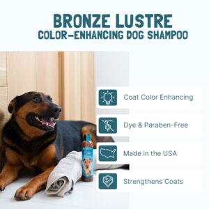 Bio-Groom Bronze Lustre™ shampoo gallona (3,8l)