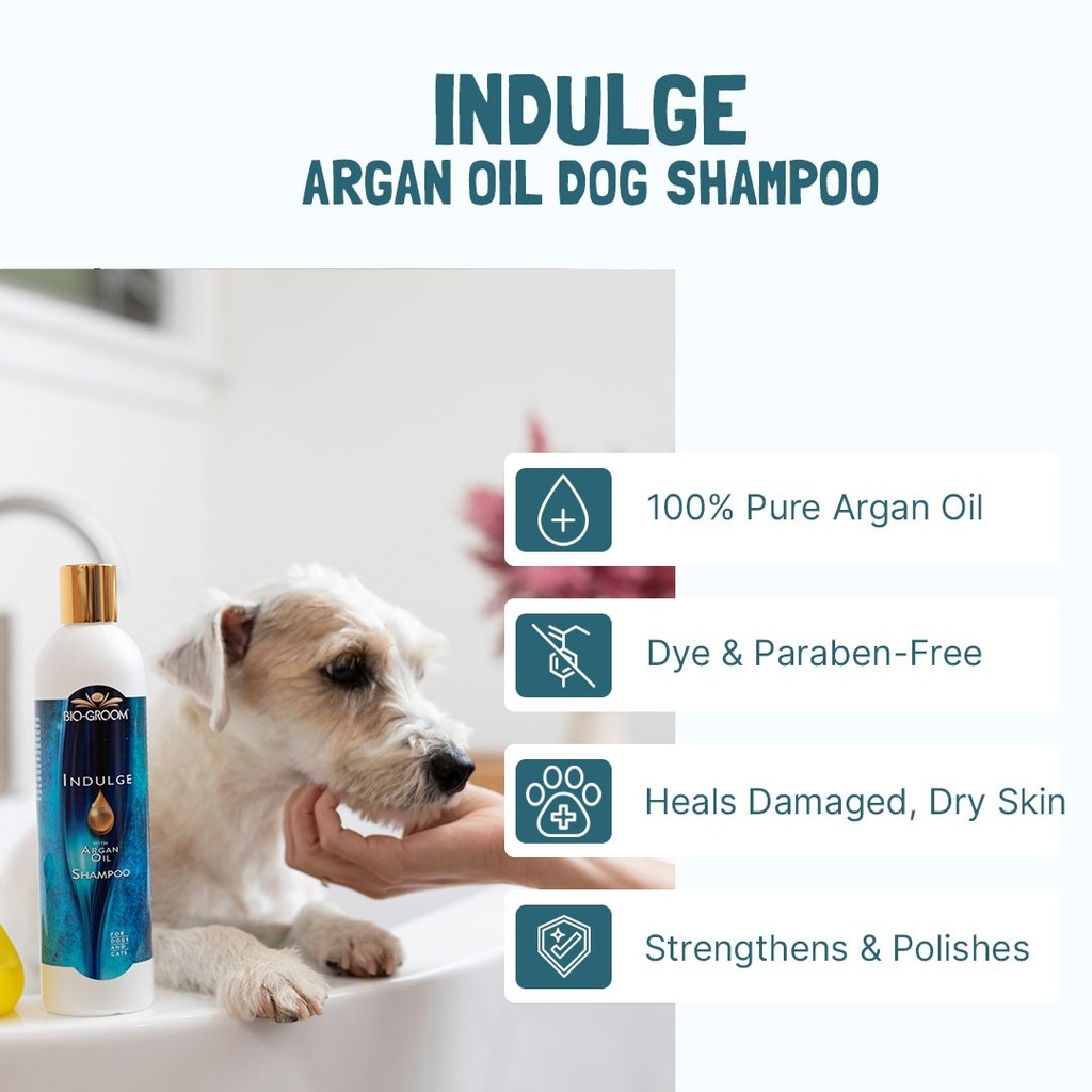 Bio-Groom Indulge™ Argan Oil shampoo 12oz/355 ml
