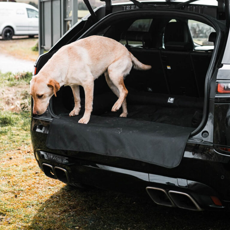 DD auton takakonttipeti