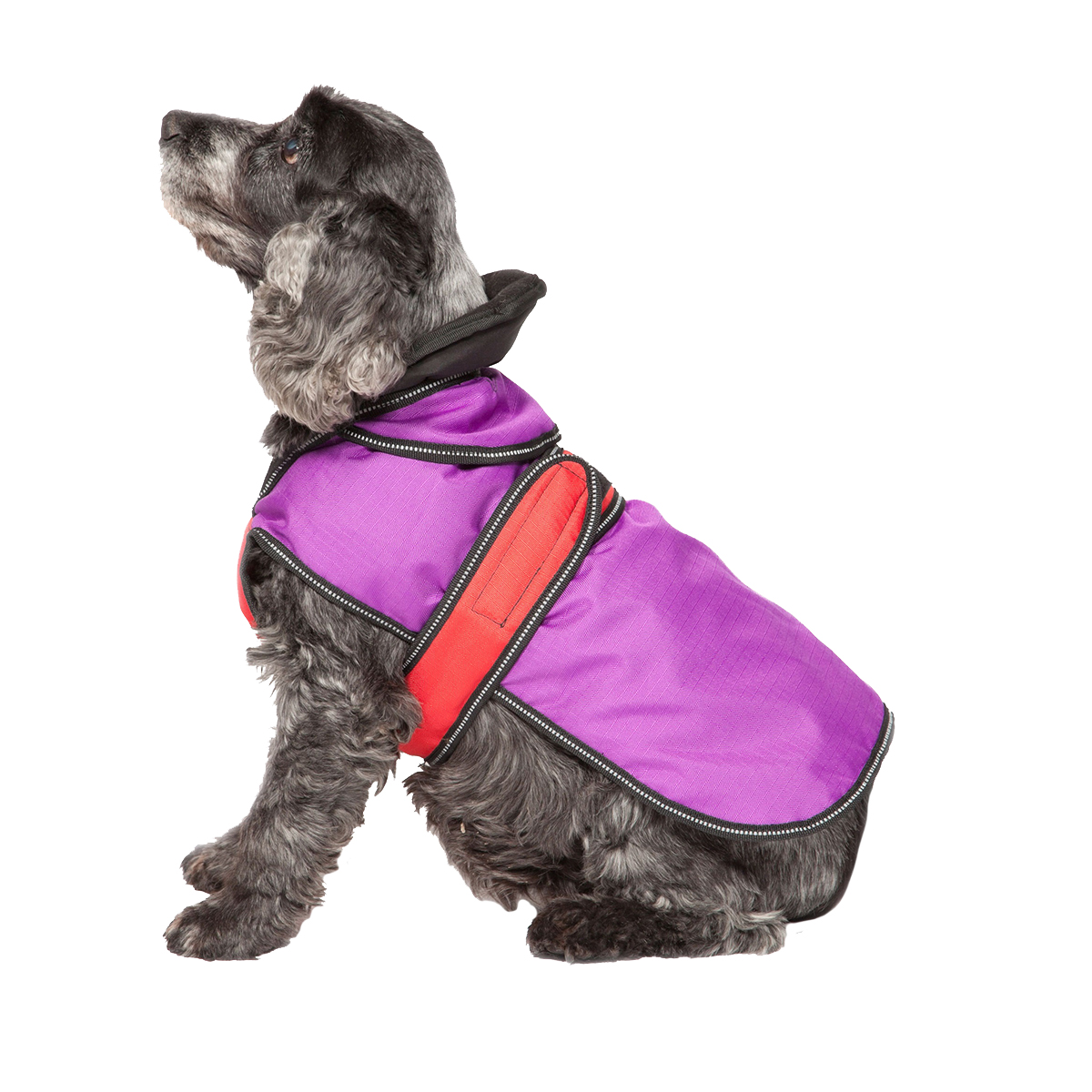 Danish Design Koiran takki 2in1 L/R lila