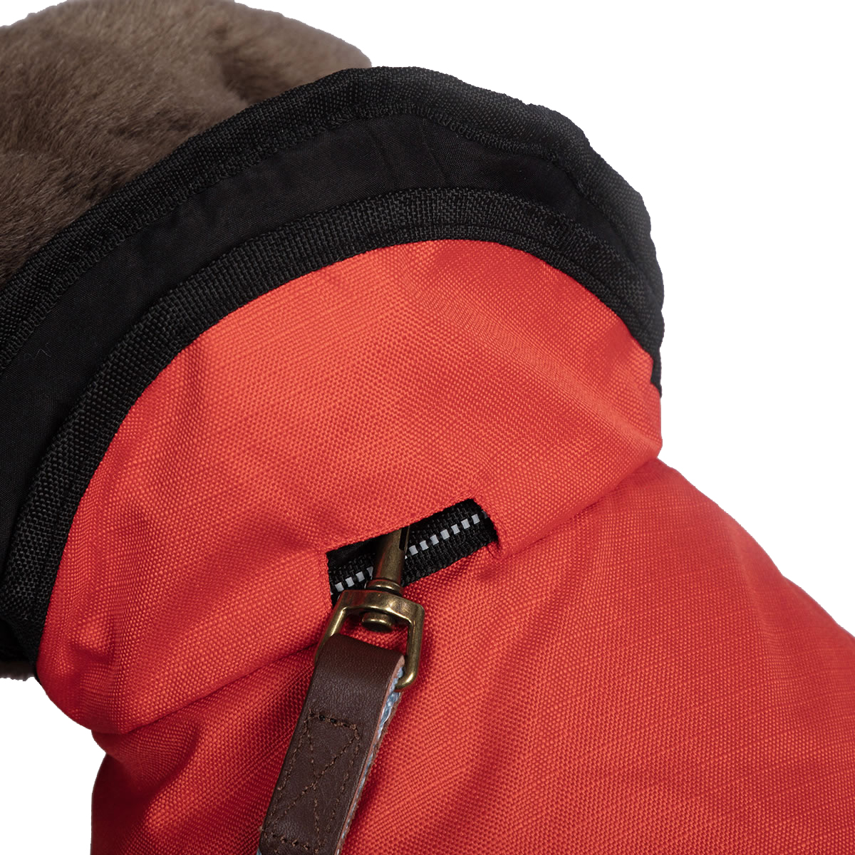 DD Koirantakki 2in1 (kopio) (kopio) (kopio) (kopio)