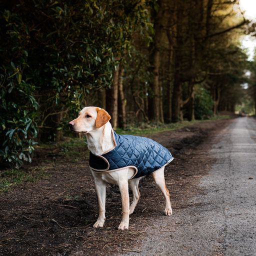 Danish Design Koiran tikkitakki navy