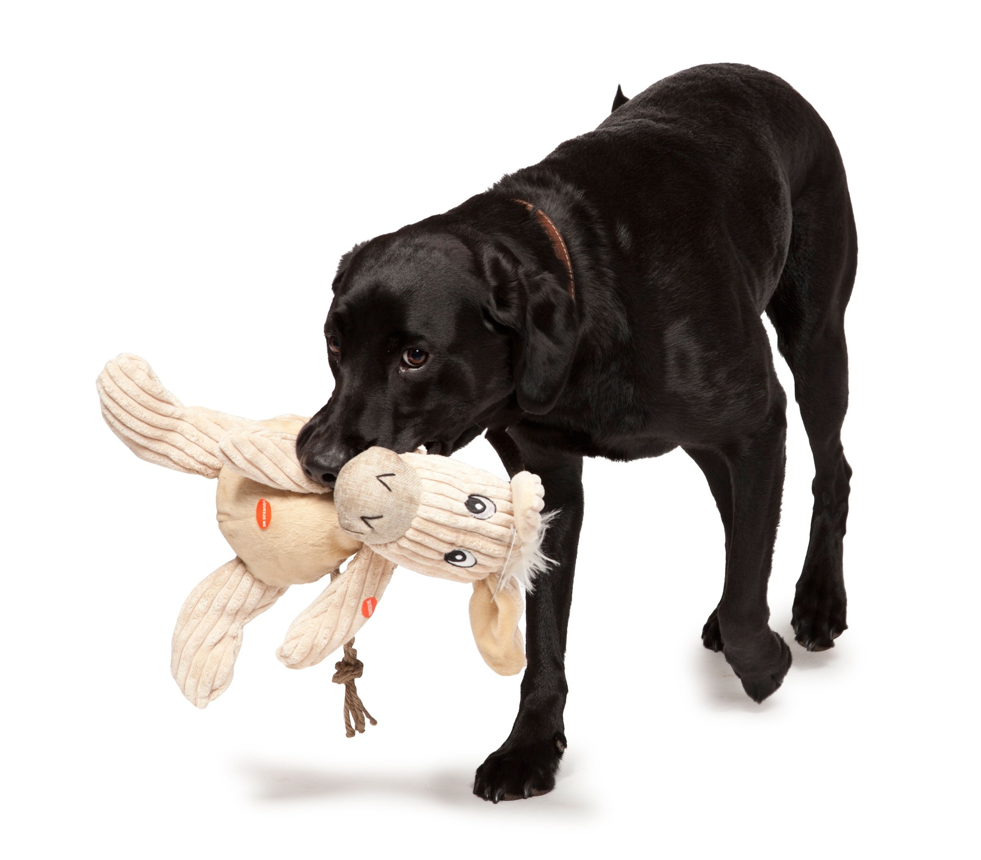 Danish Design Doris the Natural Donkey - Aasi koiran lelu