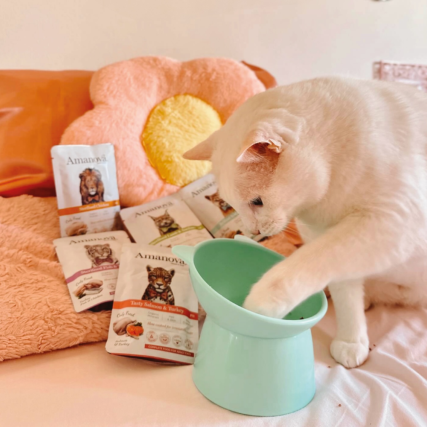 Amanova cat adult Lohi & kalkkuna 85 g pouch