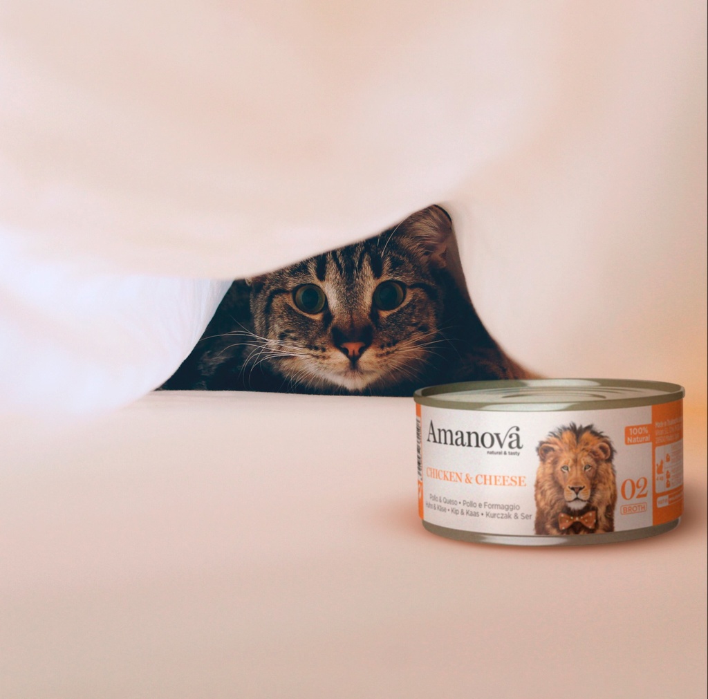 Amanova cat adult 02 Kana & juusto liemessä 70 g purkki