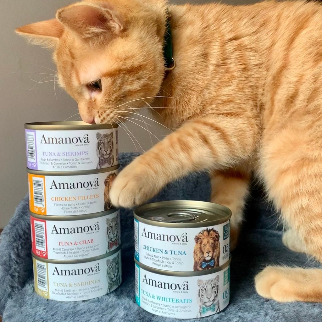 Amanova cat adult 14 Tonnikala & sardiini hyytelössä 70 g purkki