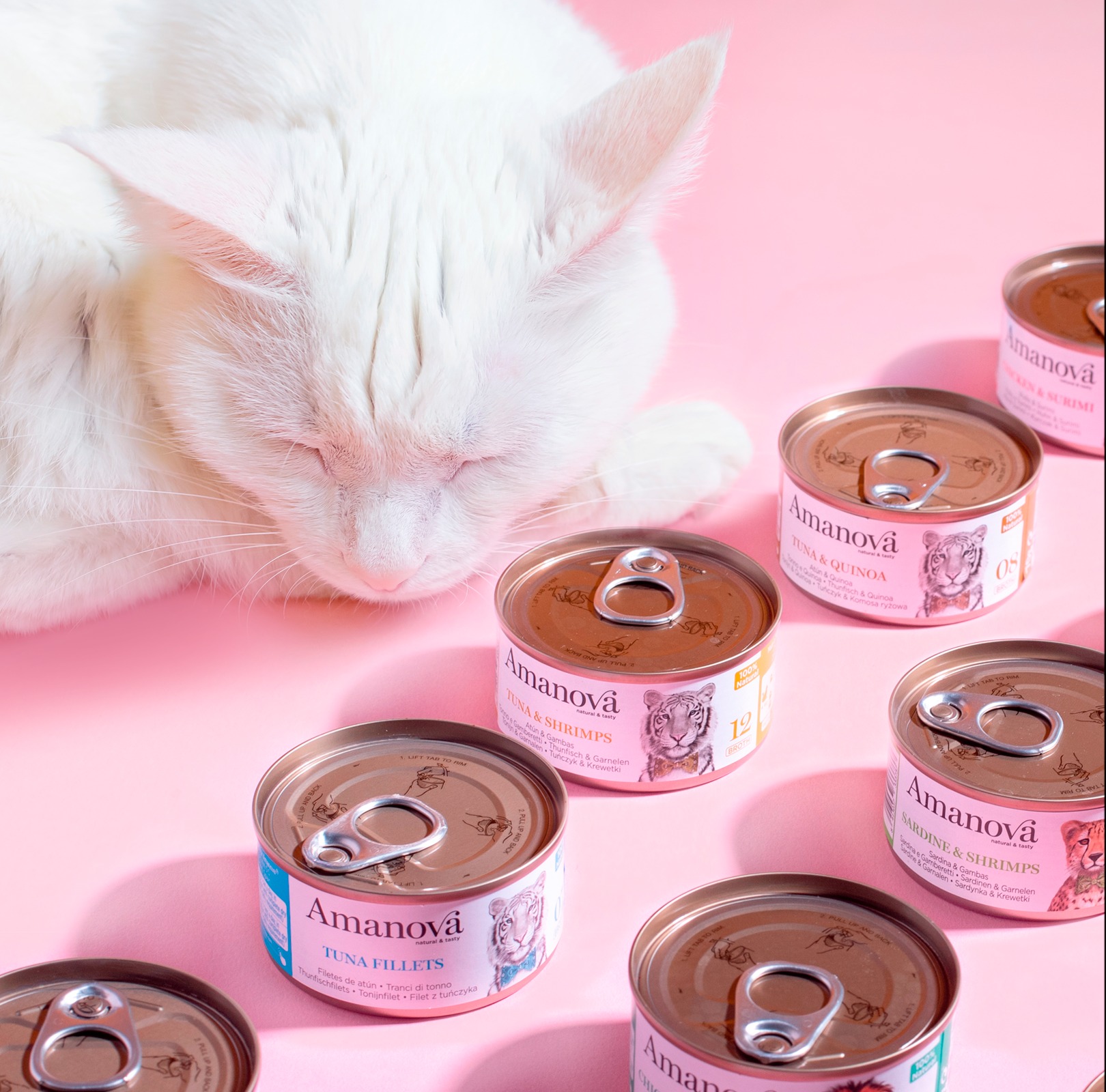 Amanova cat adult 15 Sardiini & katkarapu hyytelössä 70 g purkki