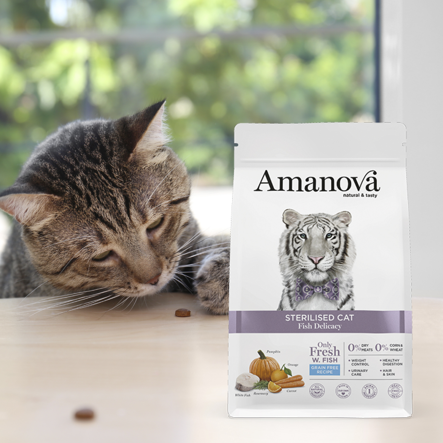 Amanova cat adult Sterilised valkoinen kala & kurpitsa viljaton 1,5 kg