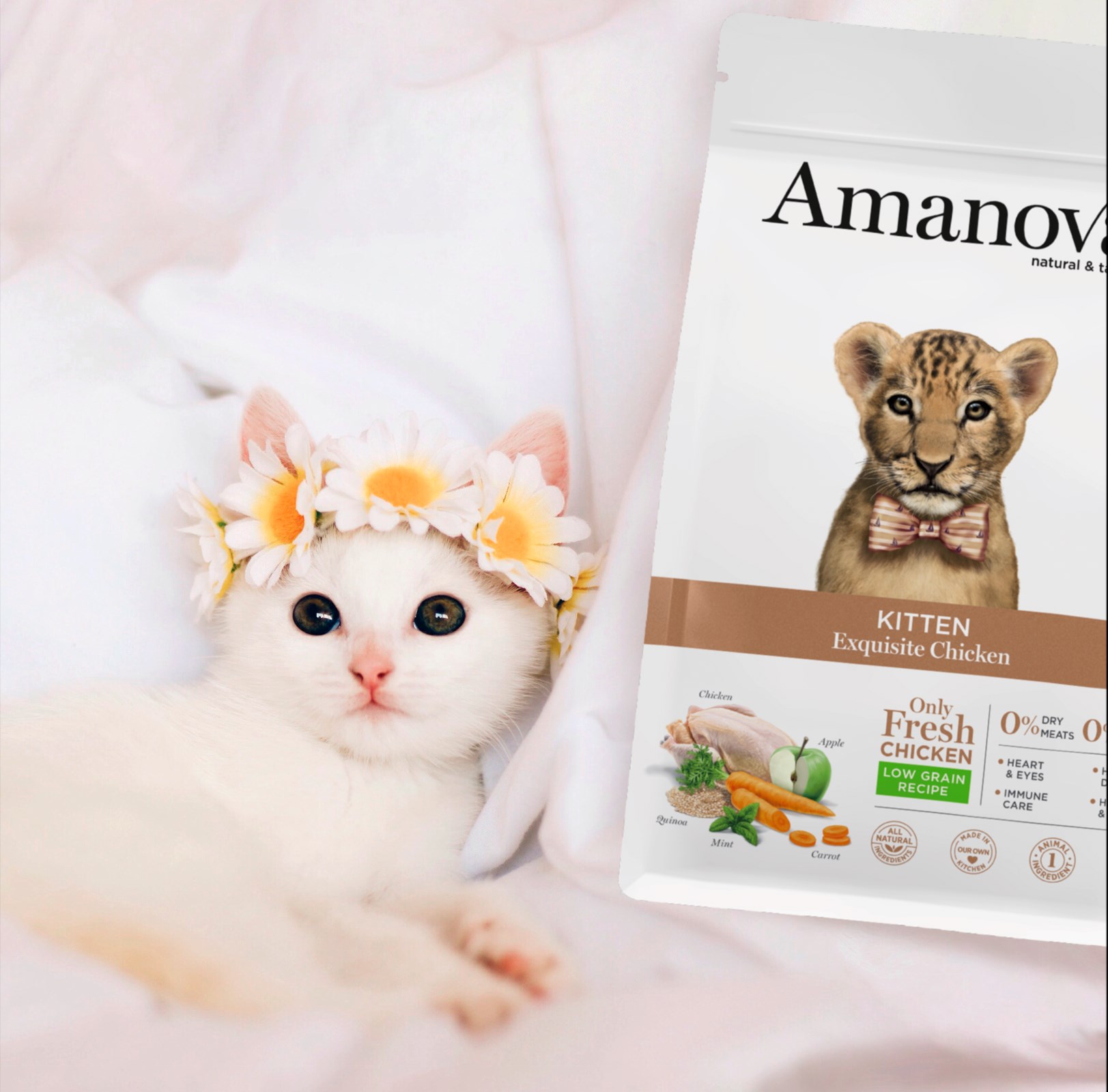 Amanova cat kitten kana & kvinoa low grain 1,5 kg