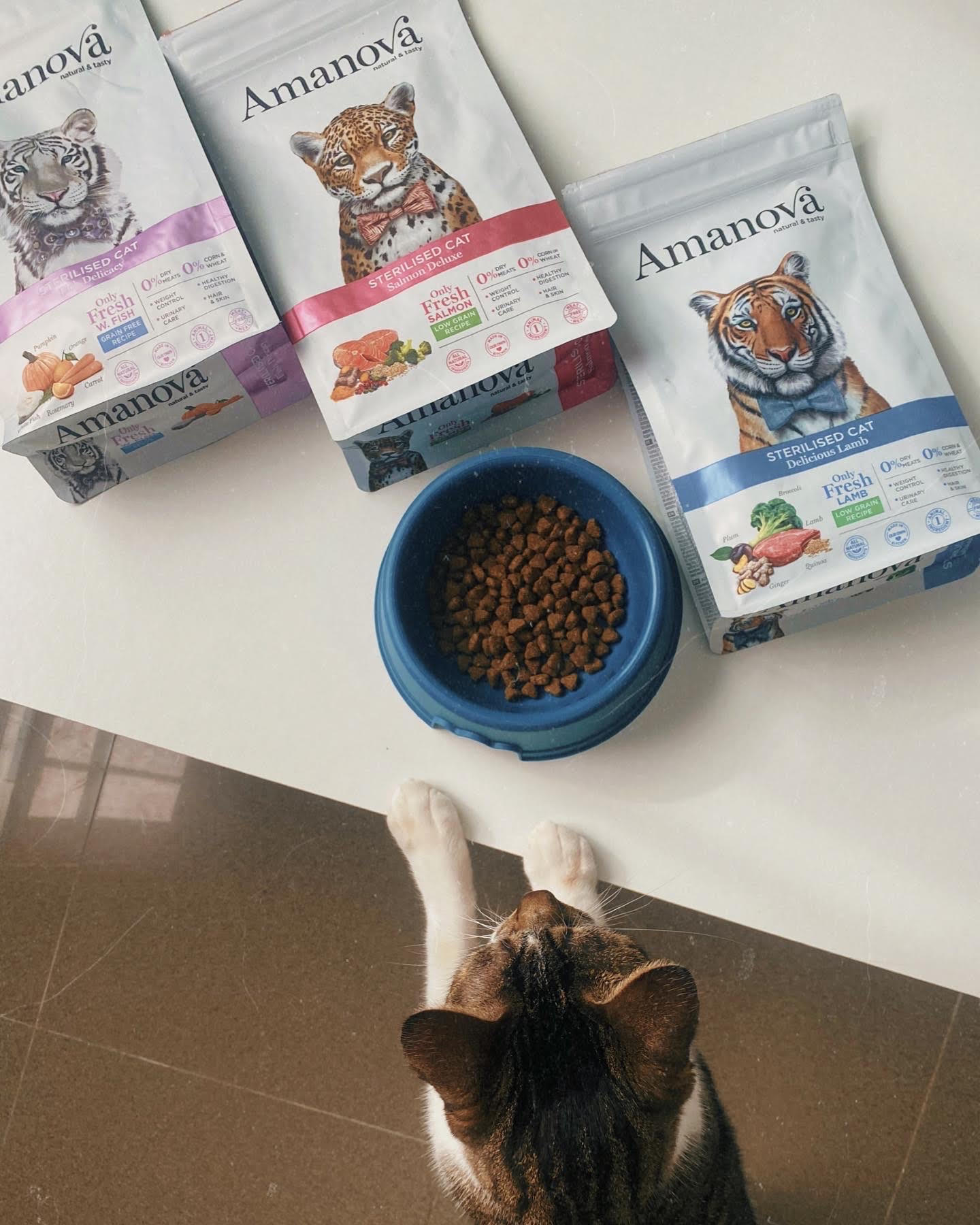 Amanova cat adult Sterilised lohi & kvinoa low grain 300 g