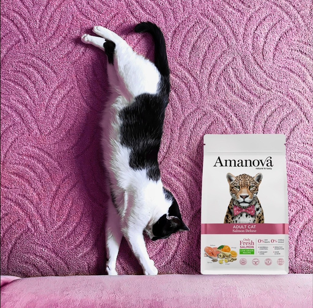 Amanova cat adult lohi & kvinoa 6 kg