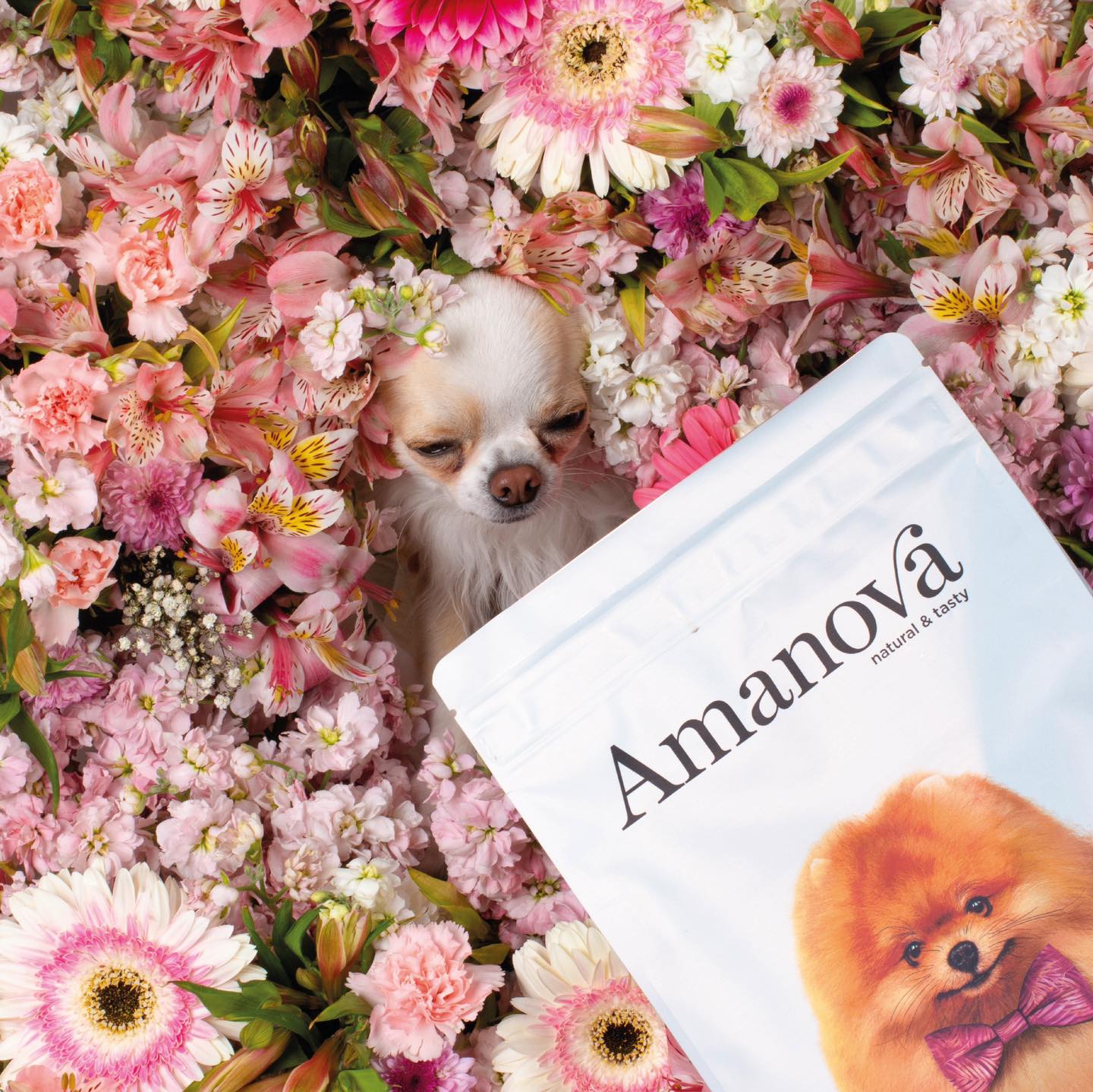 Amanova dog adult mini Sensitive lax & pumpa 800 g