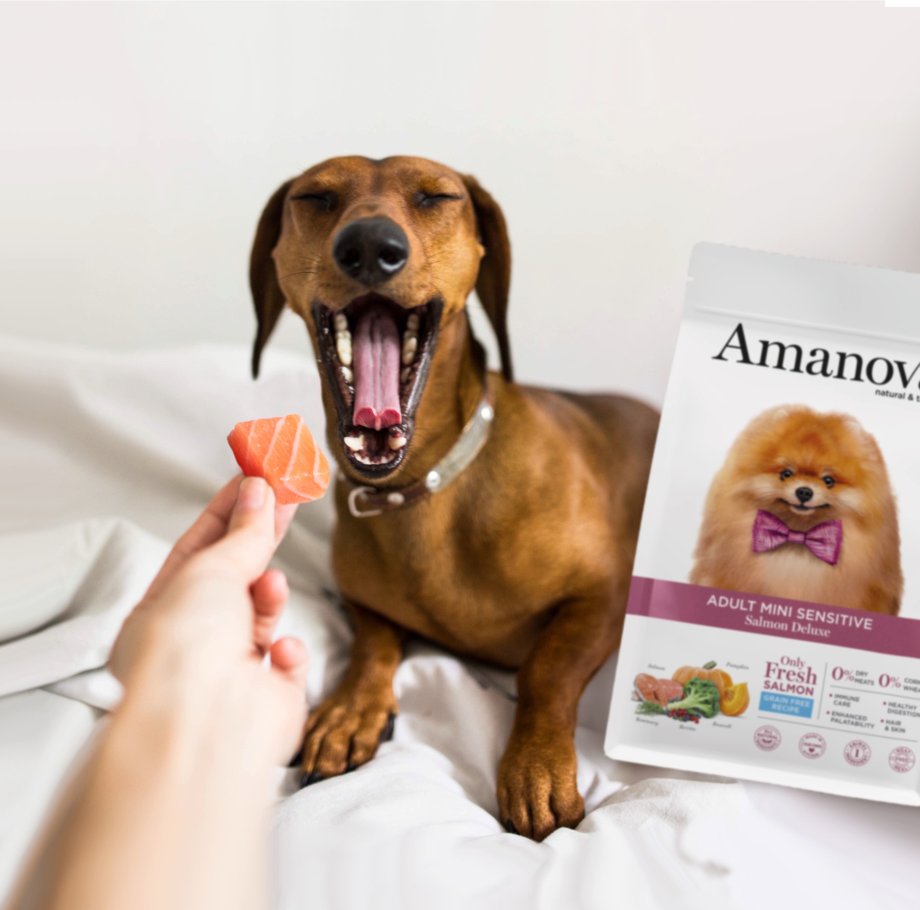 Amanova dog adult mini Sensitive lax & pumpa 7 kg