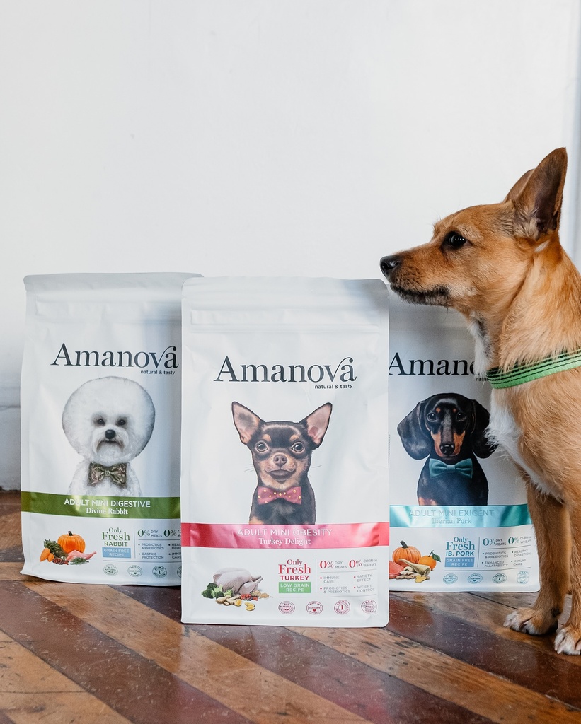 Amanova dog adult mini Obesity kalkkuna 800 g