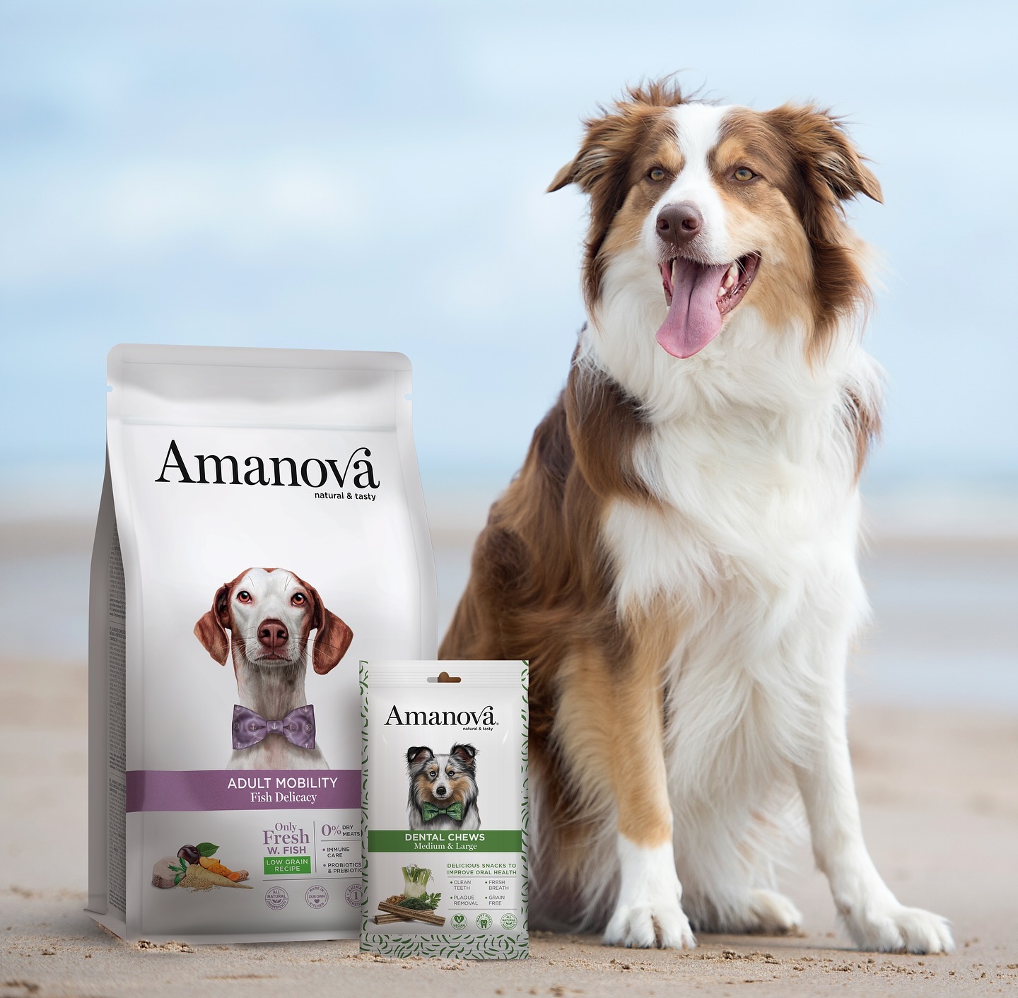Amanova dog adult Mobility Fish & quinoa 10 kg