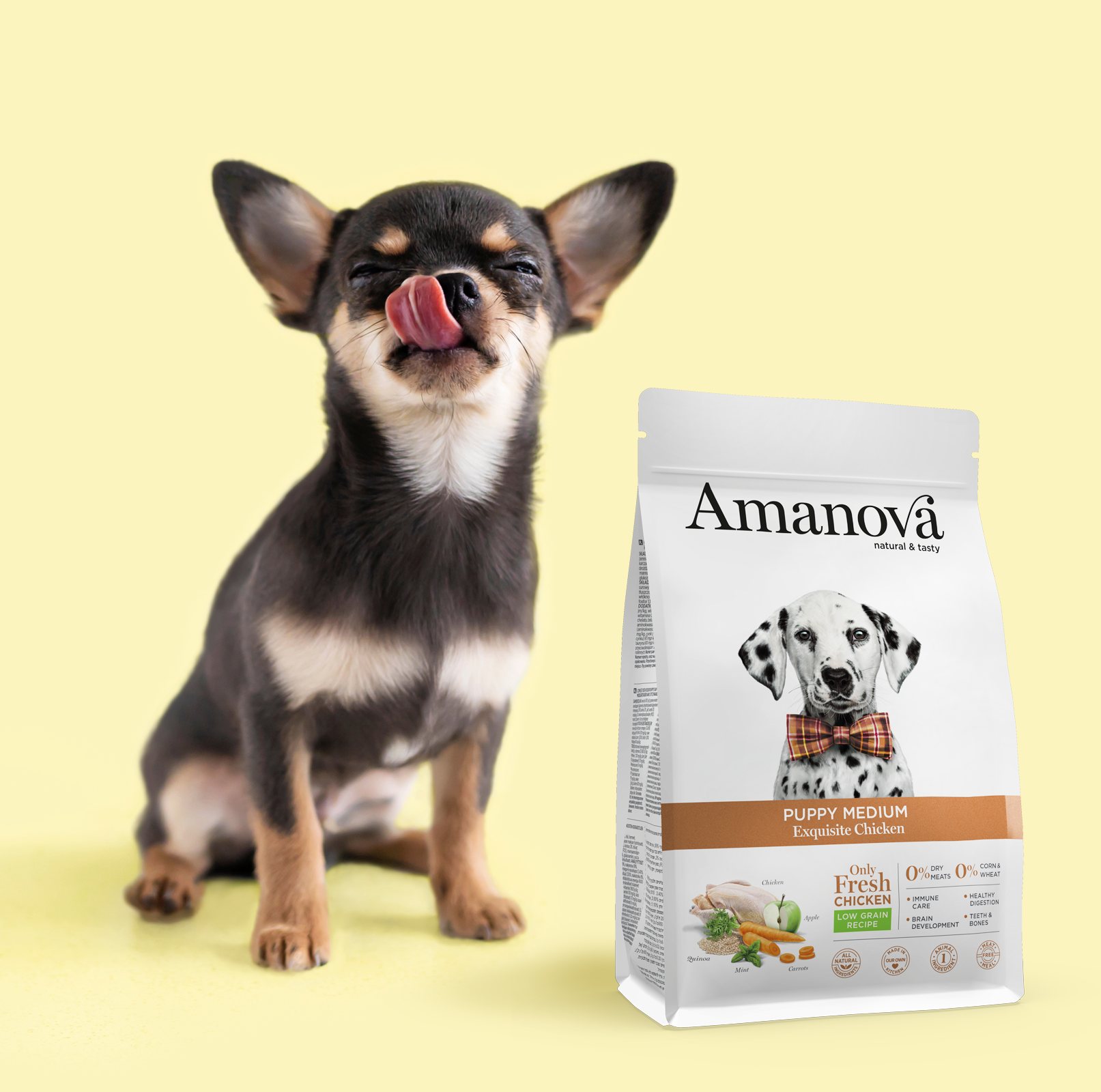Amanova dog puppy medium Exquisite chicken & quinoa 2 kg