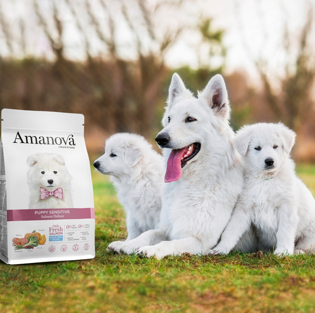 Amanova dog puppy Sensitive lohi & kurpitsa 2 kg