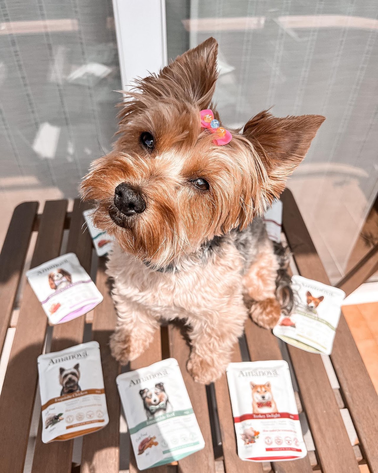 Amanova dog adult Brilliant Beef & Chicken 300 g pouch