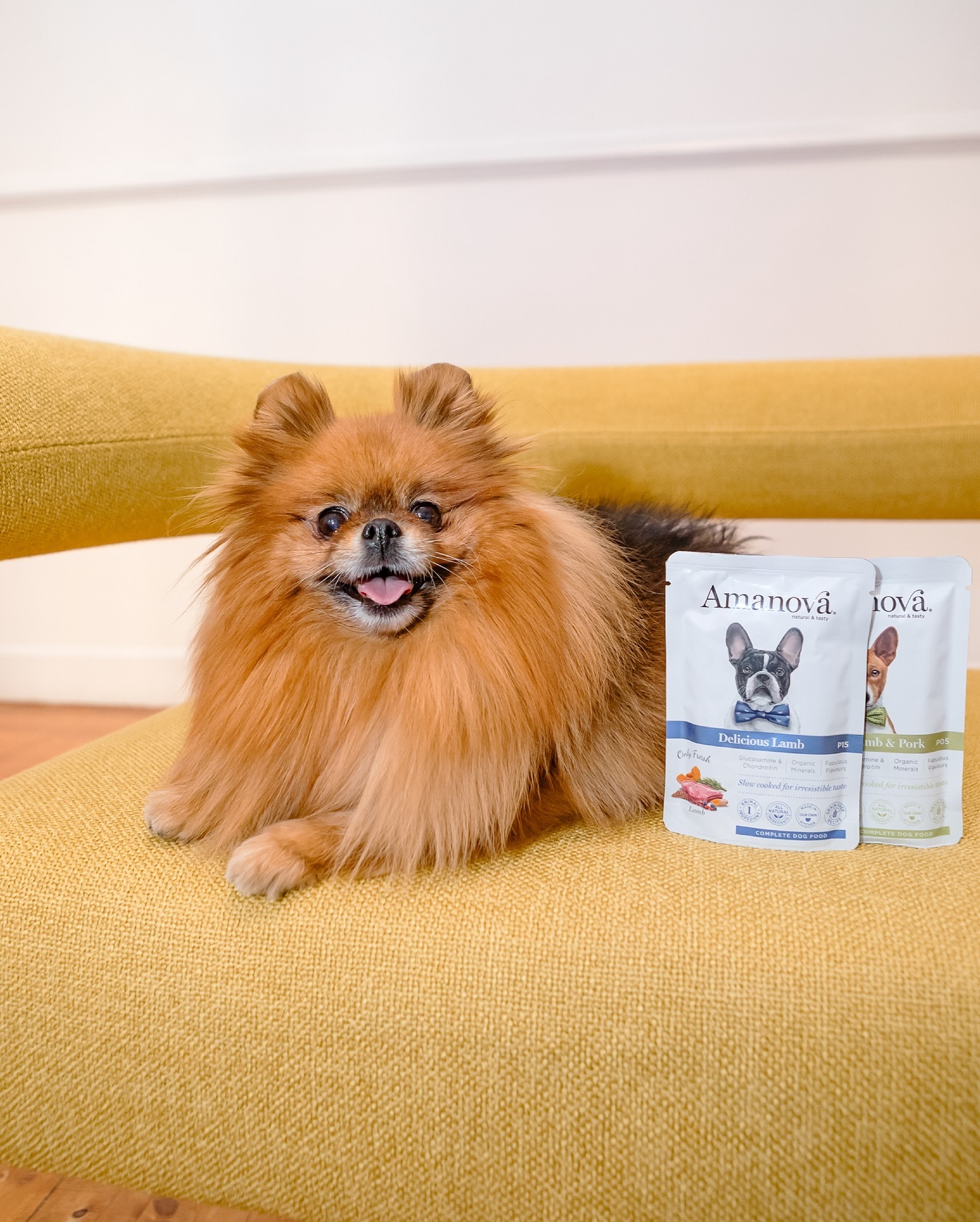 Amanova dog adult Delicious Lamb & pumpkin 300 g pouch