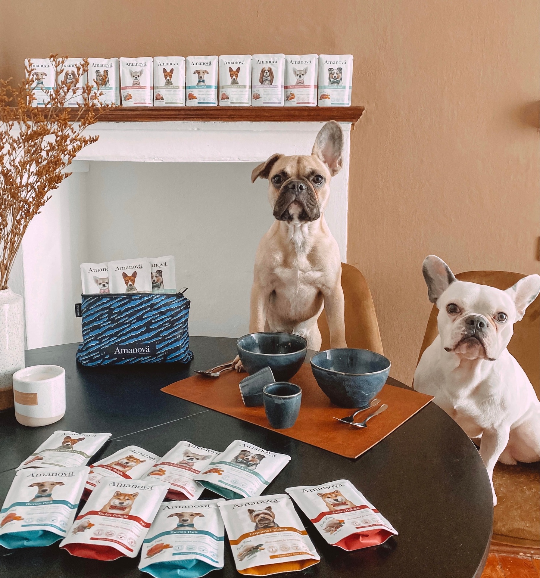 Amanova dog adult Irresistable beef 100 g pouch