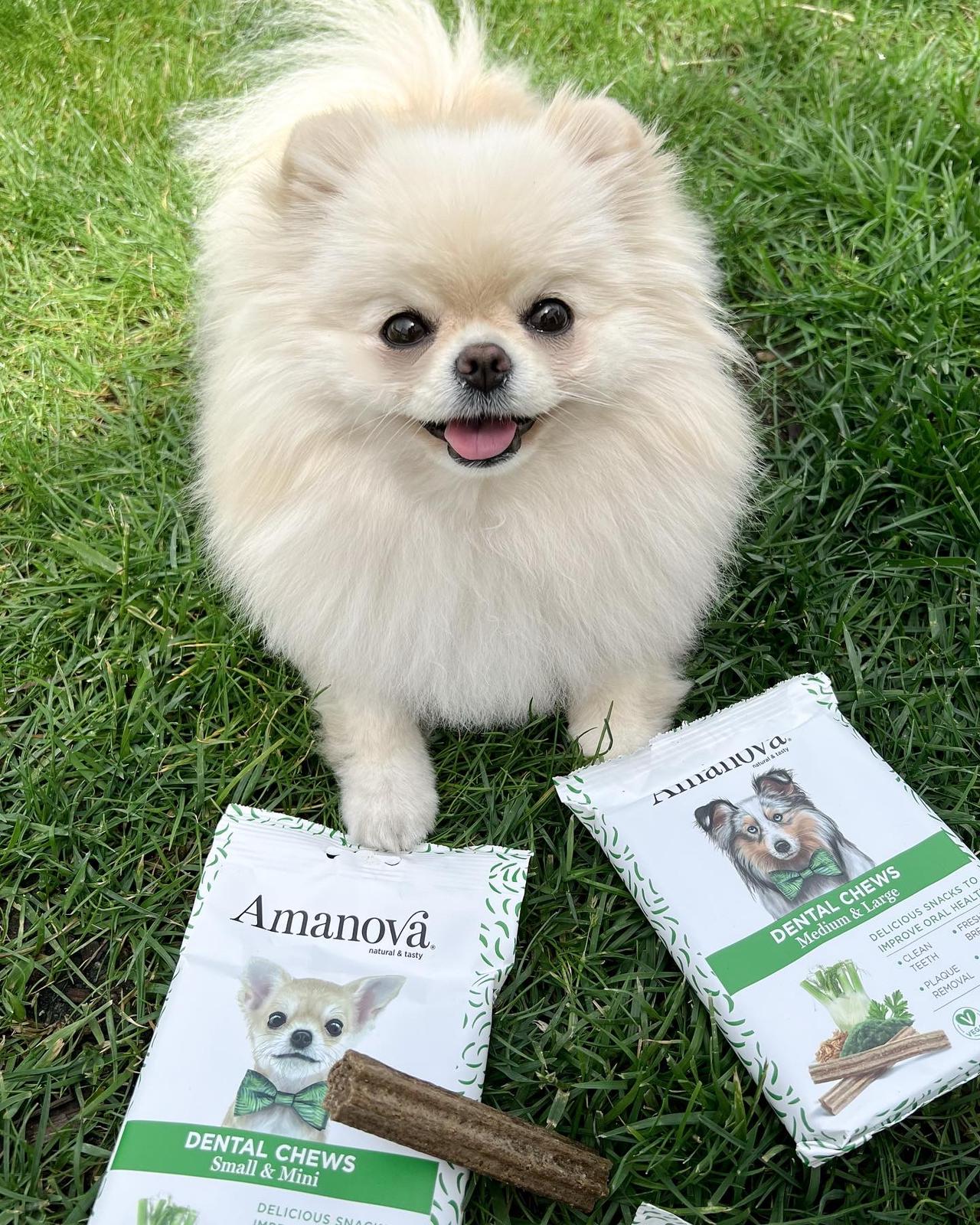 Amanova dog adult Dental puruherkku mini vegan