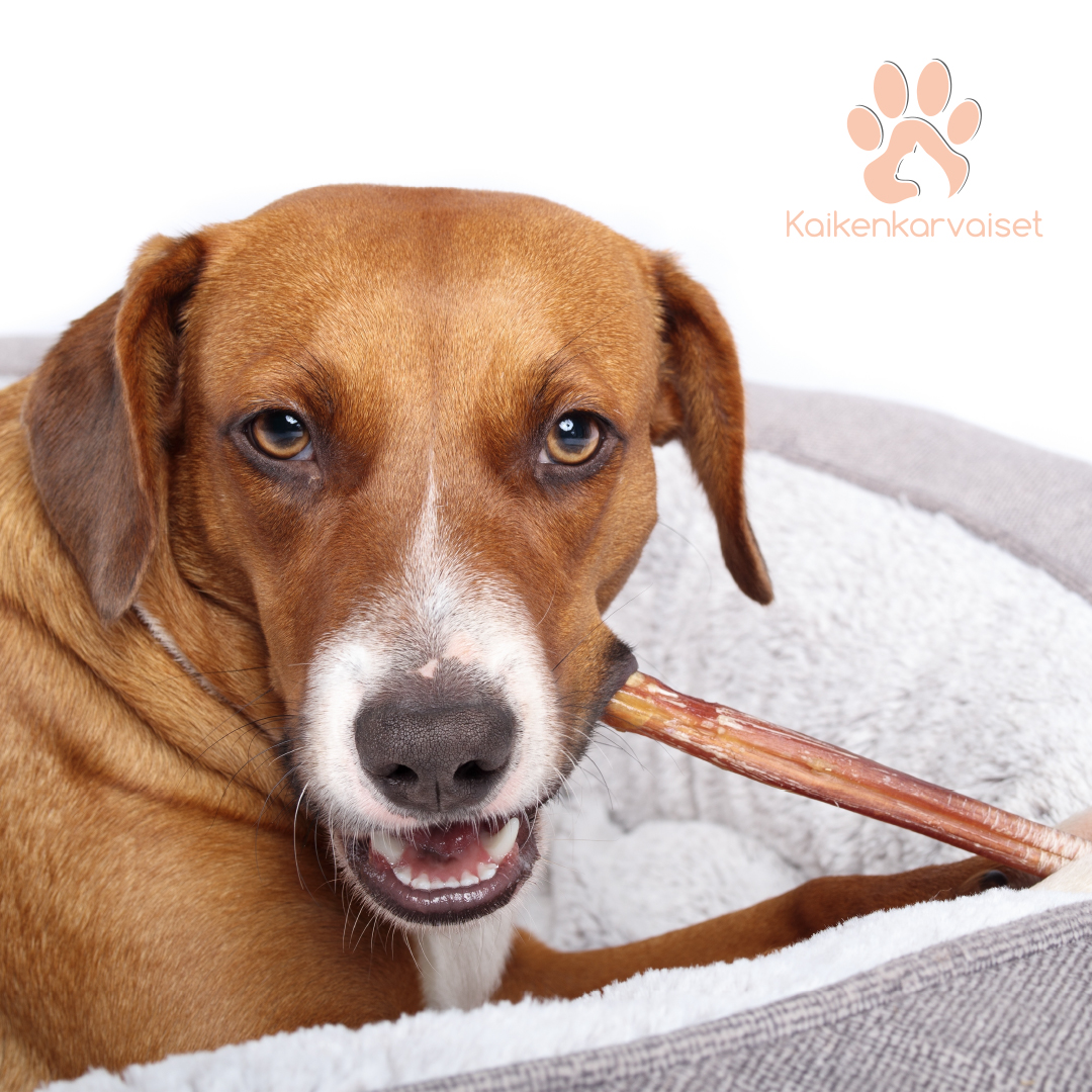 Kaikenkarvaiset Lamb Sticks 100g