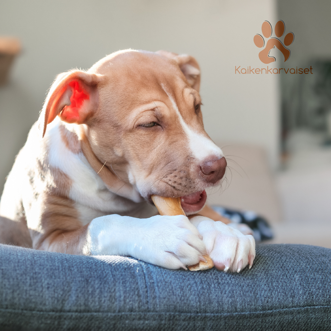 Kaikenkarvaiset Hevosen päänahka 150g