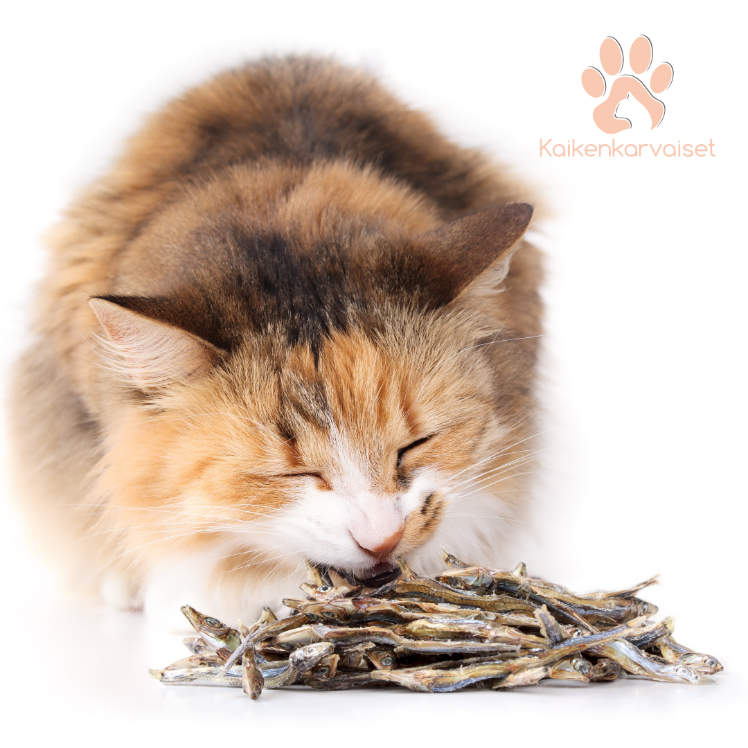 Kaikenkarvaiset Baltic herring 100 g