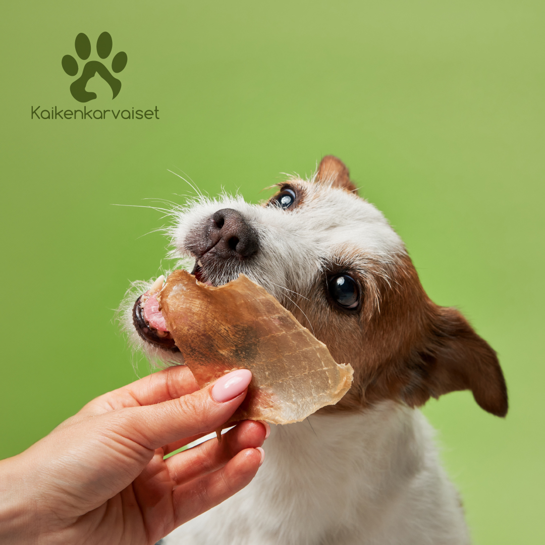 Kaikenkarvaiset KorvaMix 4 kpl