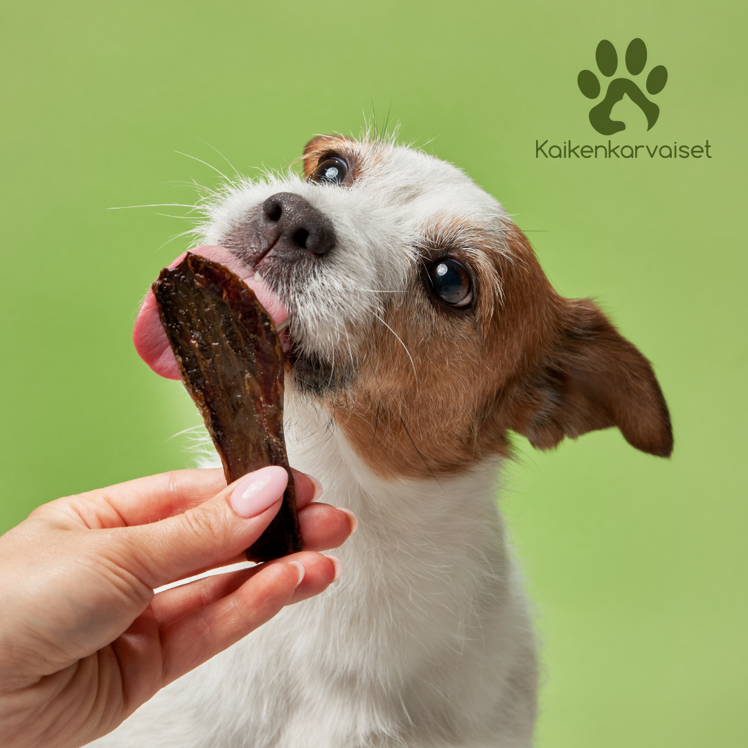 Kaikenkarvaiset Ostrich Tendon 80g