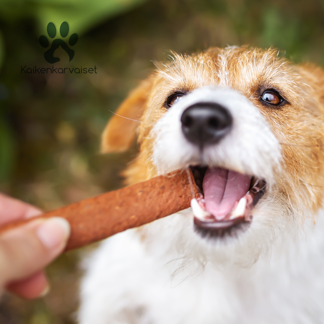 Kaikenkarvaiset Venison Meat Chips 100g