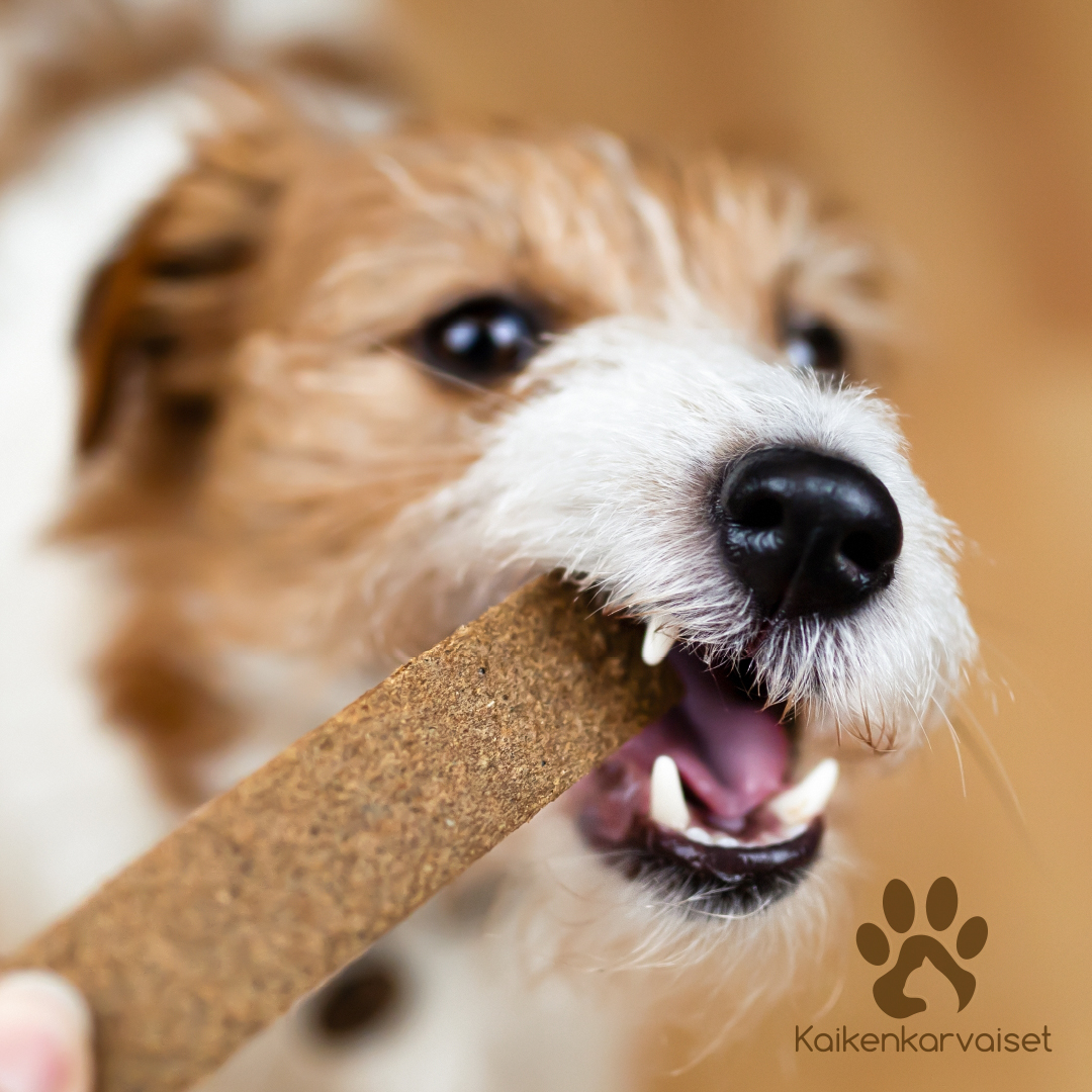 Kaikenkarvaiset Lampaan lihalastu 100g