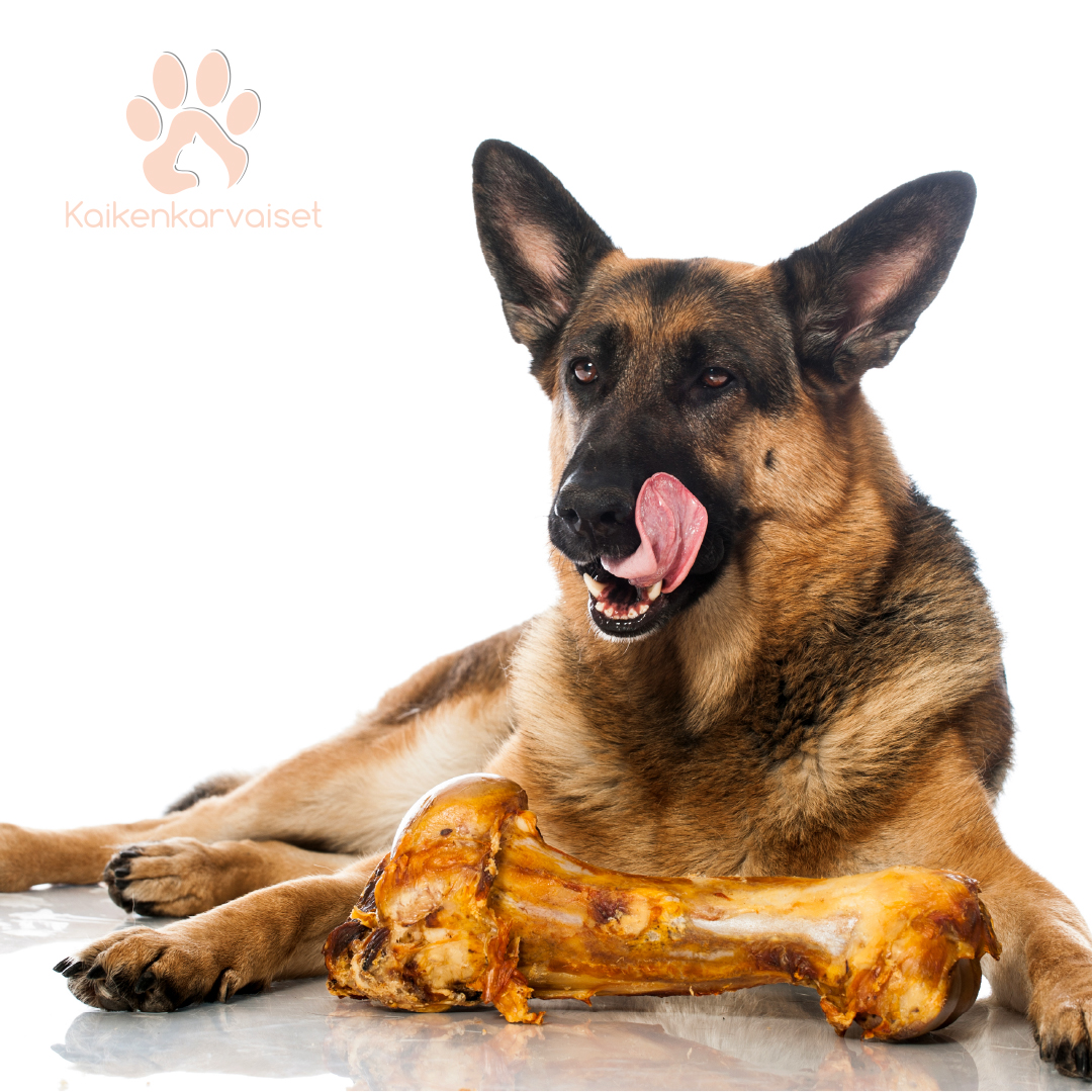 Kaikenkarvaiset Naudan potka 1 kpl