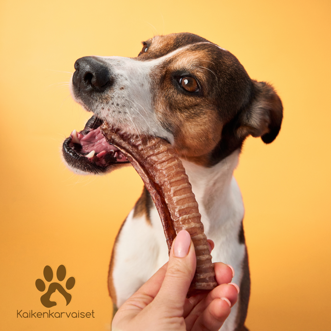 Kaikenkarvaiset Strutsin henkitorvi 50 g