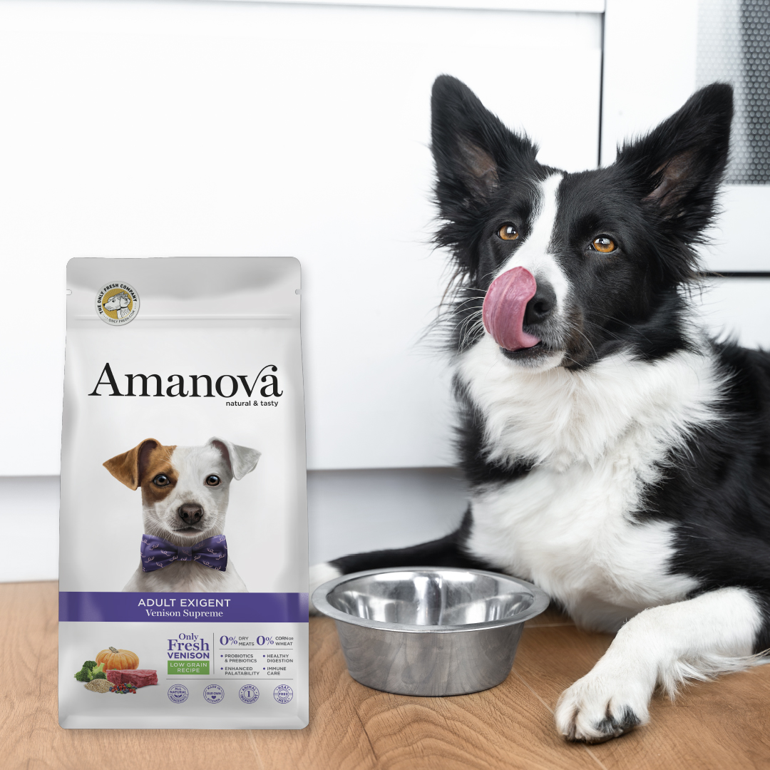 Amanova dog adult Exigent Peura 2 kg