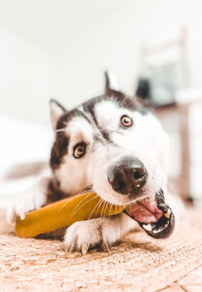 Churpi Coconut L Yak Milk Chew 130g