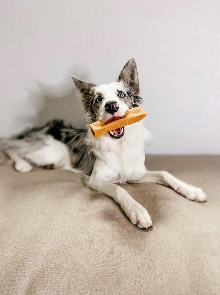 Churpi L Yak Milk Chew 130g