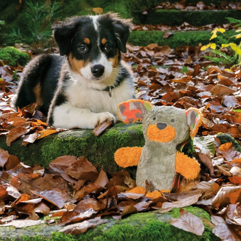 Major Dog Waldi Plush