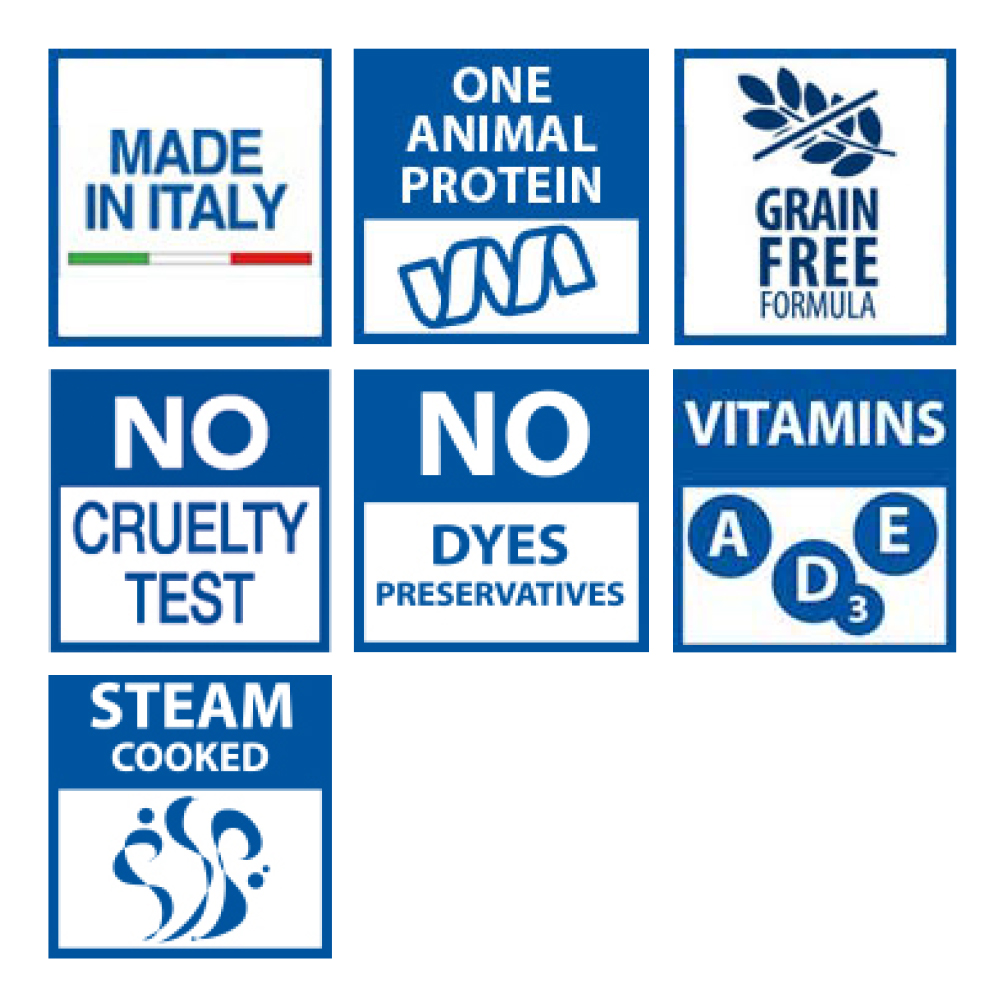 Monge dog adult Monoprotein pork 150g tray