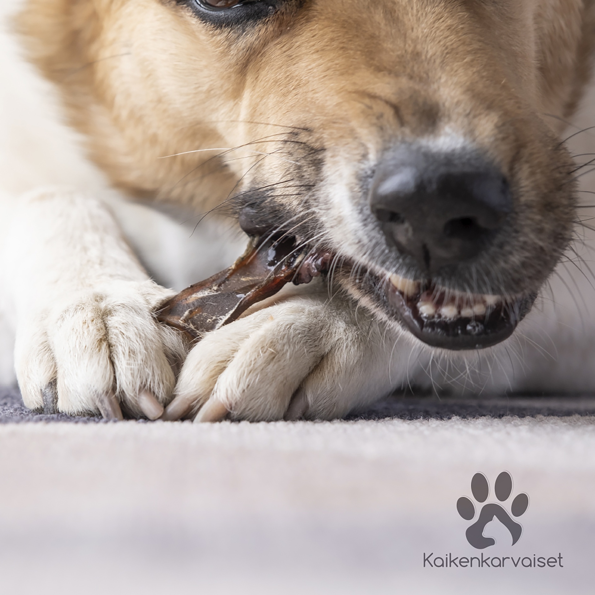 Finnish Pork trunk Suomi 1kg