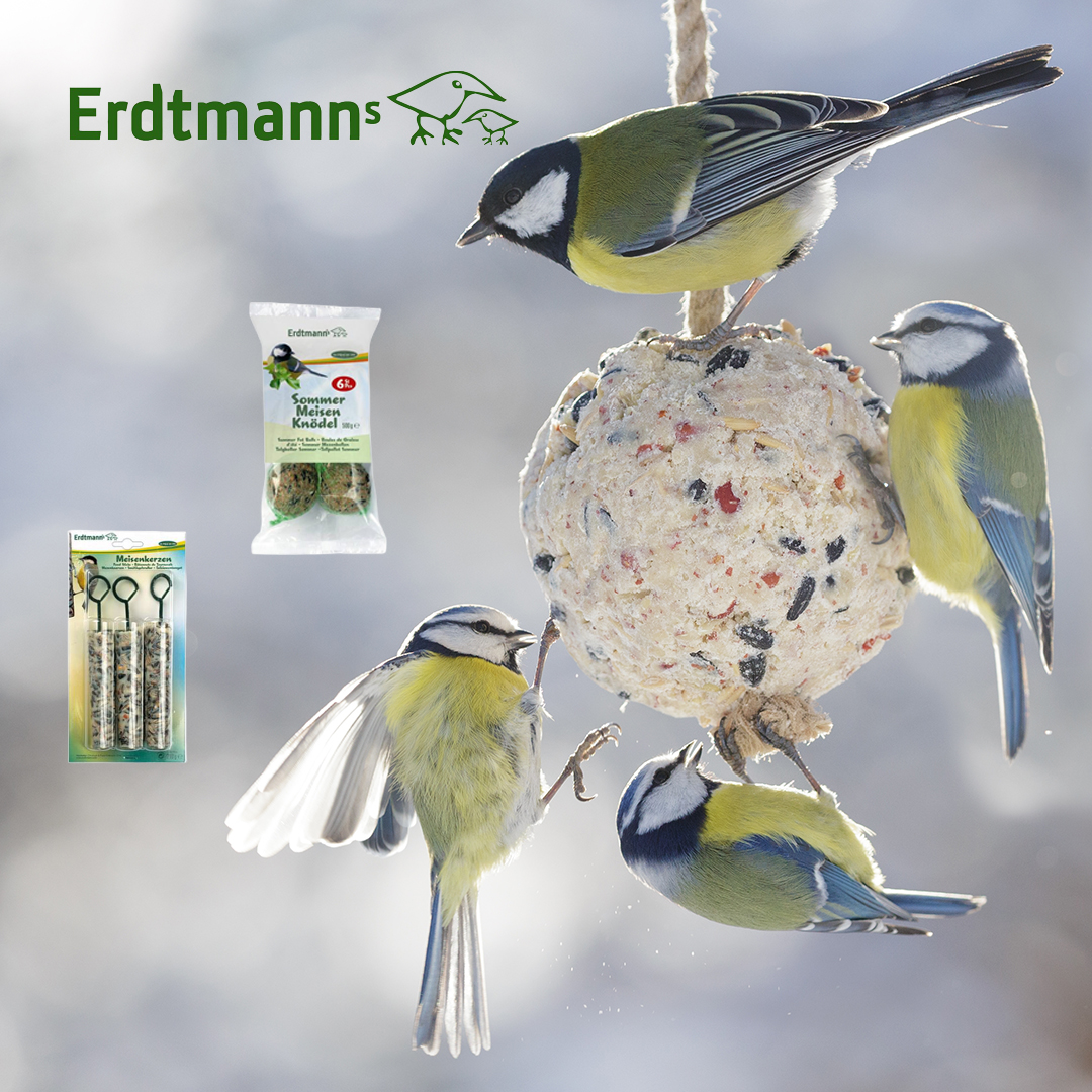 Erdtmann HEDELMÄTALIPALLOT verkolla 6kpl/pkt (tukkup.16)