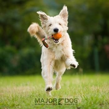 Major Dog Sling Speed Ball