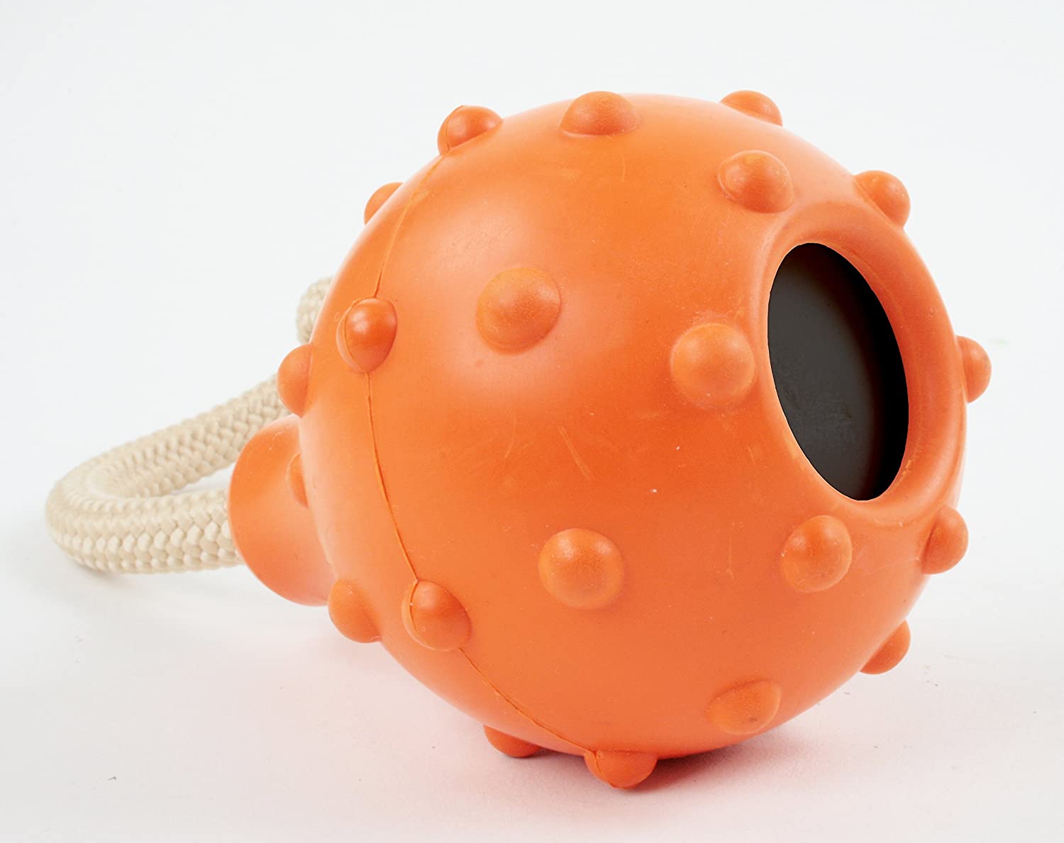 Major Dog Swimming Eddy Small