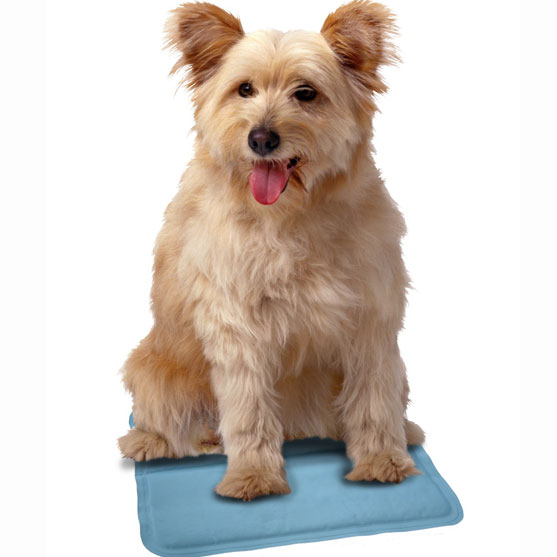 SnuggleSafe COOL PAD 30x25 cm