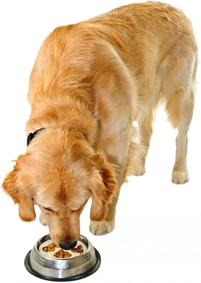 SnuggleSafe GobbleStopper Slow Feeder hotkimisen estoon 18 cm kiekko 