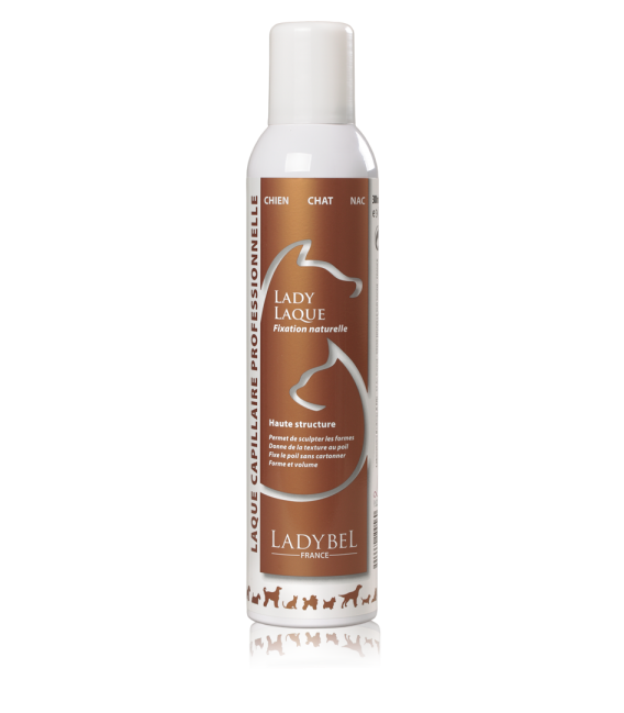 LADYBEL LADY LAQUE 300 ml, viimeistelysuihke